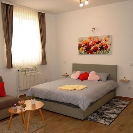 Studio Apartmani Toplicka Bajka Krapinske Toplice Exteriér fotografie